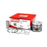 Audi A4 Piston Segman Takım – B6 2002-2005 VAG Yedek Parça