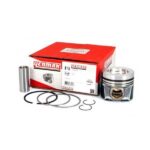 Audi A4 Piston Segman Takım – B6 2002-2005 VAG Yedek Parça