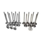Volkswagen Passat Subap Takım – 1997-2000 VAG Yedek Parça