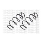 Volkswagen Polo Helezon Yayı – 2002-2009 VAG Yedek Parça